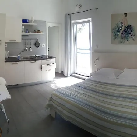 Vongola Daire Primošten